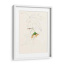 Bocetos De La Hoja De Acuarela Iv | Cuadro decorativo de Canvas Lab