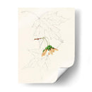 Bocetos De La Hoja De Acuarela Iv | Cuadro decorativo de Canvas Lab