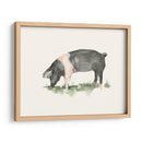 Pastando Granja Animal Iv - Ethan Harper | Cuadro decorativo de Canvas Lab