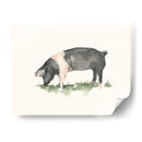 Pastando Granja Animal Iv - Ethan Harper | Cuadro decorativo de Canvas Lab