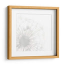 Diente De León Whisper I - Grace Popp | Cuadro decorativo de Canvas Lab