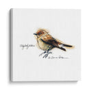 Songbird Study I - Bruce Dean | Cuadro decorativo de Canvas Lab