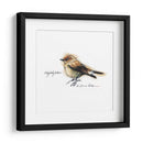 Songbird Study I - Bruce Dean | Cuadro decorativo de Canvas Lab