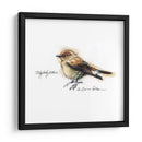 Songbird Study I - Bruce Dean | Cuadro decorativo de Canvas Lab