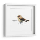 Songbird Study I - Bruce Dean | Cuadro decorativo de Canvas Lab