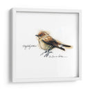 Songbird Study I - Bruce Dean | Cuadro decorativo de Canvas Lab