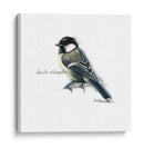 Songbird Study Ii - Bruce Dean | Cuadro decorativo de Canvas Lab