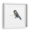 Songbird Study Ii - Bruce Dean | Cuadro decorativo de Canvas Lab