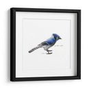 Songbird Study Iii - Bruce Dean | Cuadro decorativo de Canvas Lab