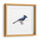 Songbird Study Iii - Bruce Dean | Cuadro decorativo de Canvas Lab