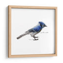 Songbird Study Iii - Bruce Dean | Cuadro decorativo de Canvas Lab