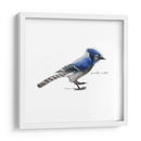 Songbird Study Iii - Bruce Dean | Cuadro decorativo de Canvas Lab