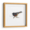 Songbird Study Iv - Bruce Dean | Cuadro decorativo de Canvas Lab