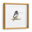 Songbird Study Vi - Bruce Dean | Cuadro decorativo de Canvas Lab