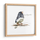 Songbird Study Vi - Bruce Dean | Cuadro decorativo de Canvas Lab