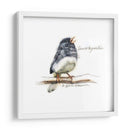 Songbird Study Vi - Bruce Dean | Cuadro decorativo de Canvas Lab