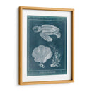Azure Sea Turtle Study Ii - Vision Studio | Cuadro decorativo de Canvas Lab