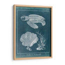 Azure Sea Turtle Study Ii - Vision Studio | Cuadro decorativo de Canvas Lab