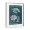 Azure Sea Turtle Study Ii - Vision Studio | Cuadro decorativo de Canvas Lab