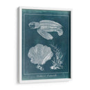 Azure Sea Turtle Study Ii - Vision Studio | Cuadro decorativo de Canvas Lab