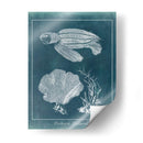 Azure Sea Turtle Study Ii - Vision Studio | Cuadro decorativo de Canvas Lab