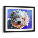 Perro Pop V - Leticia Herrera | Cuadro decorativo de Canvas Lab