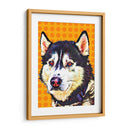 Pop Dog Xii - Leticia Herrera | Cuadro decorativo de Canvas Lab