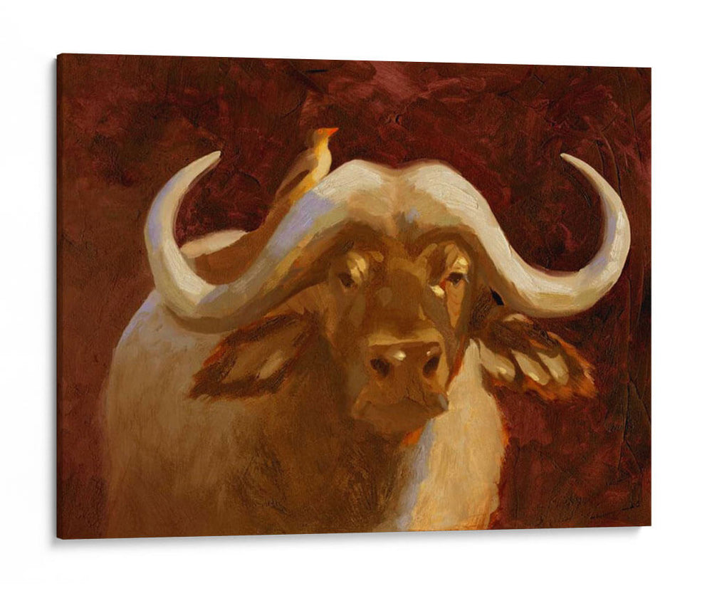 Cape Buffalo I - W. Rutledge | Cuadro decorativo de Canvas Lab