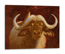 Cape Buffalo I - W. Rutledge | Cuadro decorativo de Canvas Lab
