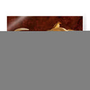 Cape Buffalo Ii - W. Rutledge | Cuadro decorativo de Canvas Lab