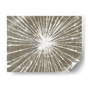 Burst Iii Blanco - Studio W | Cuadro decorativo de Canvas Lab