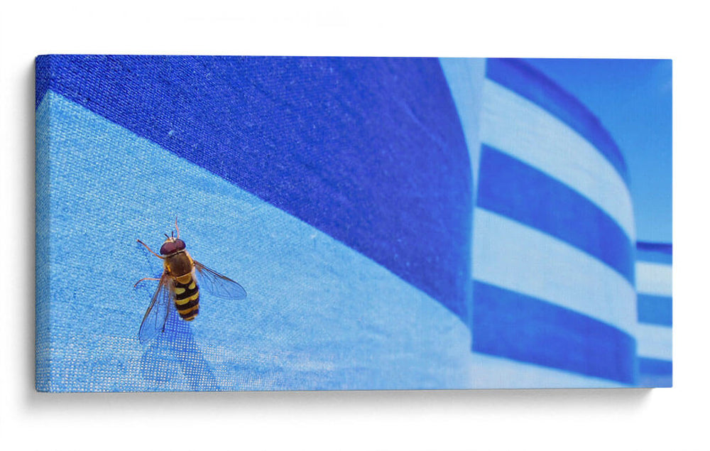 Abeja en azul | Cuadro decorativo de Canvas Lab