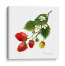 Estudio De Fresa Ii - Grace Popp | Cuadro decorativo de Canvas Lab