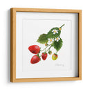 Estudio De Fresa Ii - Grace Popp | Cuadro decorativo de Canvas Lab