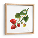 Estudio De Fresa Ii - Grace Popp | Cuadro decorativo de Canvas Lab