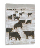 Pastoreo De Invierno I - Ethan Harper | Cuadro decorativo de Canvas Lab