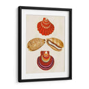Conchas De Knorr Ii - Diane Whitehead | Cuadro decorativo de Canvas Lab