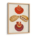 Conchas De Knorr Ii - Diane Whitehead | Cuadro decorativo de Canvas Lab