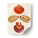 Conchas De Knorr Ii - Diane Whitehead | Cuadro decorativo de Canvas Lab