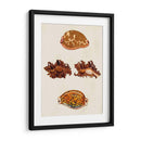 Conchas De Knorr Viii - Diane Whitehead | Cuadro decorativo de Canvas Lab
