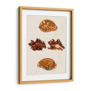 Conchas De Knorr Viii - Diane Whitehead | Cuadro decorativo de Canvas Lab