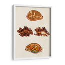Conchas De Knorr Viii - Diane Whitehead | Cuadro decorativo de Canvas Lab