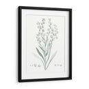 Estudio Botánico En Sage I - Vision Studio | Cuadro decorativo de Canvas Lab