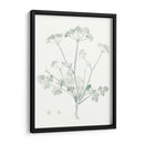 Estudio Botánico En Sage Iv - Vision Studio | Cuadro decorativo de Canvas Lab