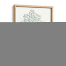 Estudio Botánico En Sage Vi - Vision Studio | Cuadro decorativo de Canvas Lab