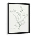 Estudio Botánico En Sage Vii - Vision Studio | Cuadro decorativo de Canvas Lab