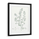 Estudio Botánico En Sage Viii - Vision Studio | Cuadro decorativo de Canvas Lab