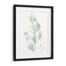 Estudio Botánico En Sage Ix - Vision Studio | Cuadro decorativo de Canvas Lab