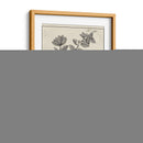 Antiguo Black And White Botanical Viii - Vision Studio | Cuadro decorativo de Canvas Lab