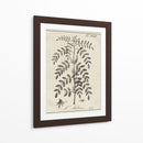 Antiguo Blanco Y Negro Botánico Ix - Vision Studio | Cuadro decorativo de Canvas Lab